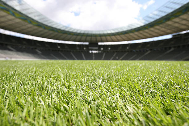 美国足球归化战略：海外球员如何增强国家队实力？