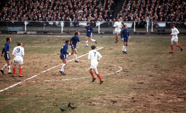 360足球直播视频雨燕：科技与体育的完美融合