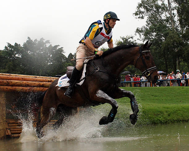 乒乓球比赛场地尺寸全解析：从奥运会到业余比赛