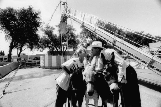 投资室内恒温游泳馆的回报周期与成本控制策略