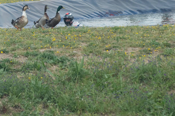 夏日游泳必备:女性预防妇科疾病的实用指南