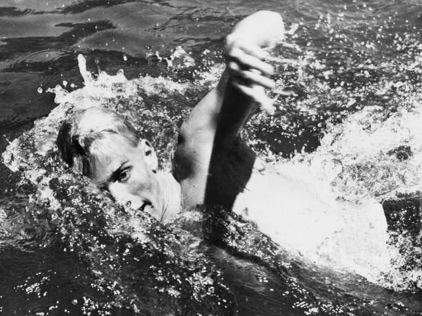 河北省游泳协会2023年度会员招募正式启动